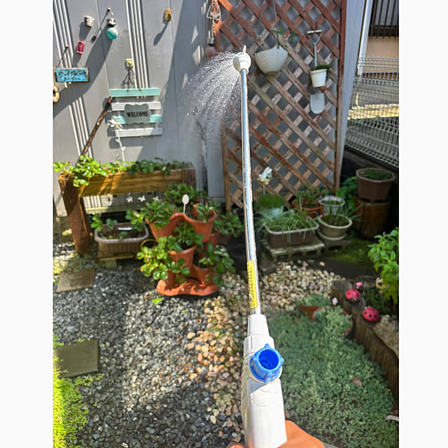 CoCo0617さんの部屋