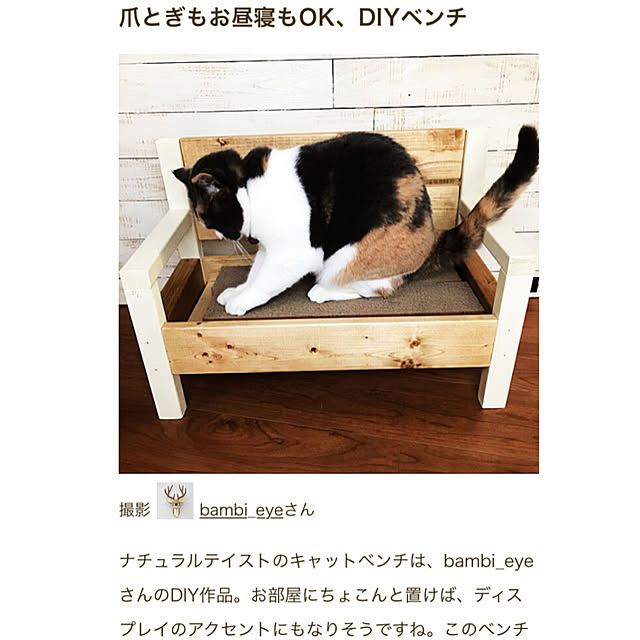 bambi_eyeさんの実例写真