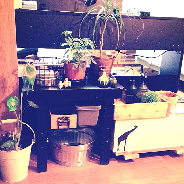 botanさんの実例写真