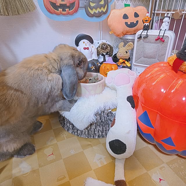 mariaさんの部屋