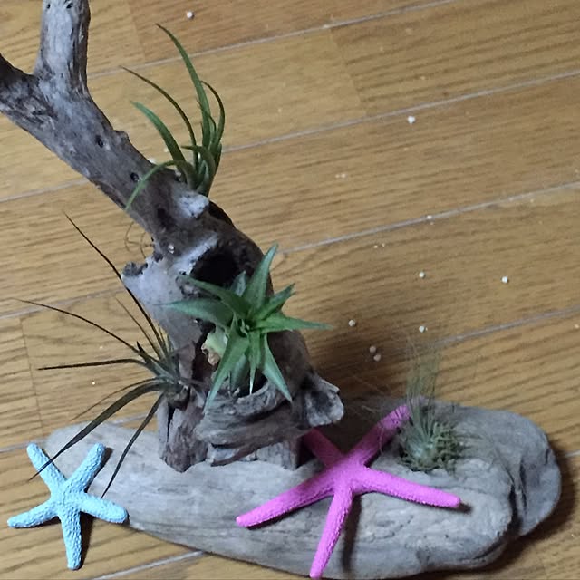 ベッド周り/ハンドメイド/観葉植物のインテリア実例 - 2016-11-05 20:19:28