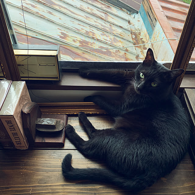 mecchaさんの実例写真