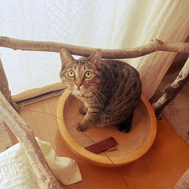 Mさんの部屋