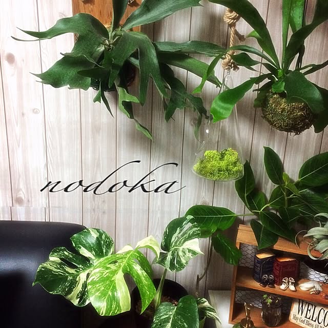 nodokaさんの実例写真