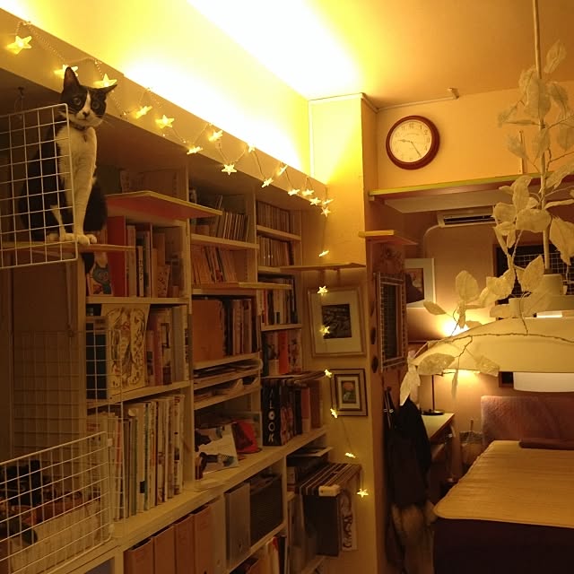kimishigureさんの実例写真