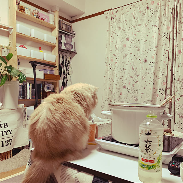 roseさんの実例写真