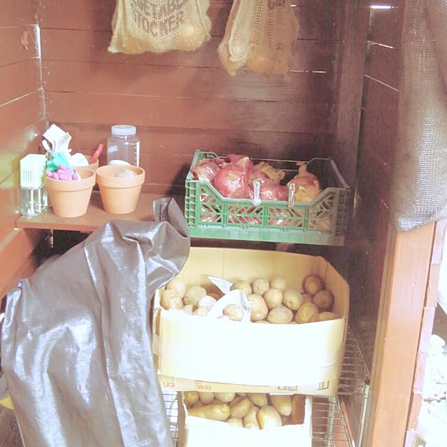 manachinnnさんの実例写真