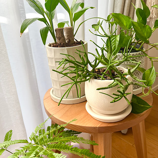 yunさんの実例写真