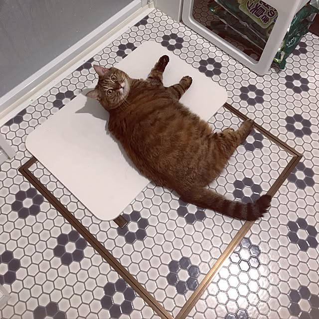 kuu511さんの実例写真