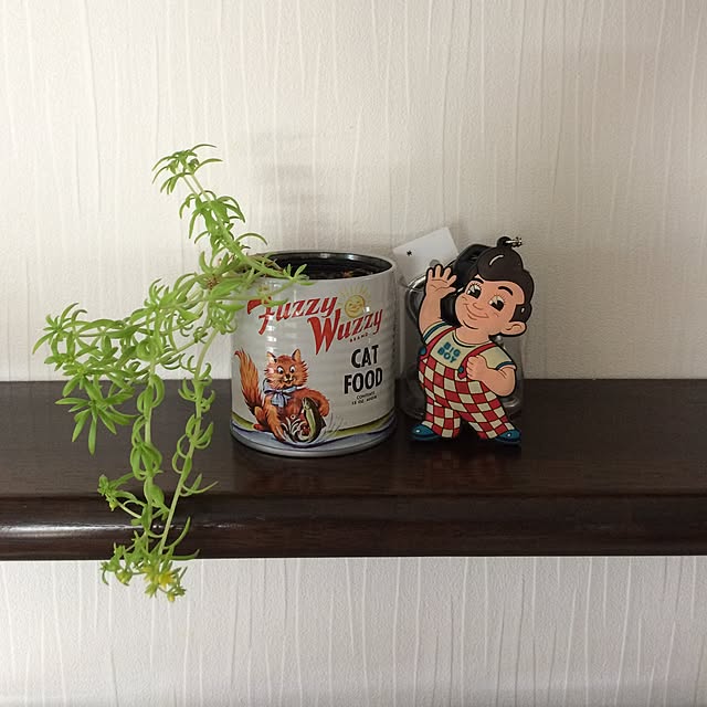 iveさんの実例写真