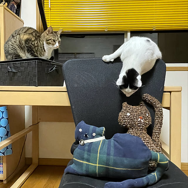 nobikoさんの実例写真