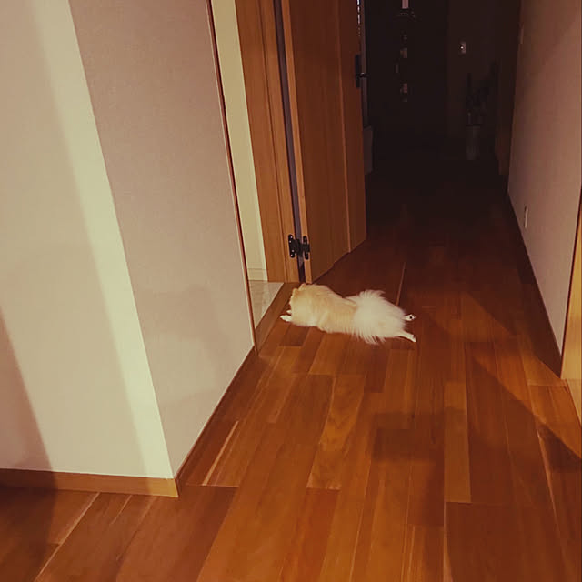 1546さんの実例写真