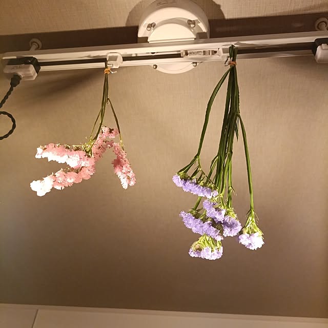 tamachan235さんの実例写真