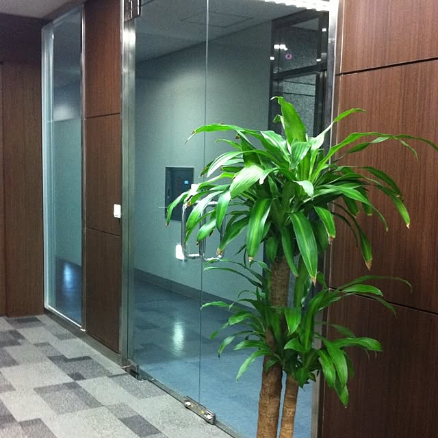 玄関/入り口のインテリア実例 - 2014-01-21 22:51:06