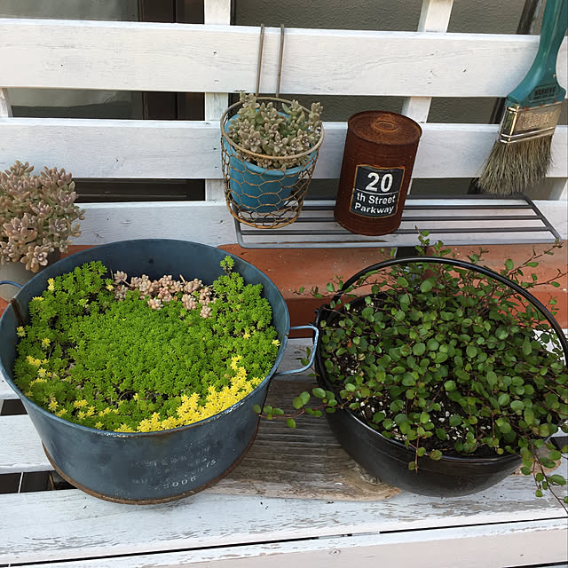 玄関/入り口/花台DIY/多肉植物/セダムモリモリのインテリア実例 - 2018-05-12 13:54:45