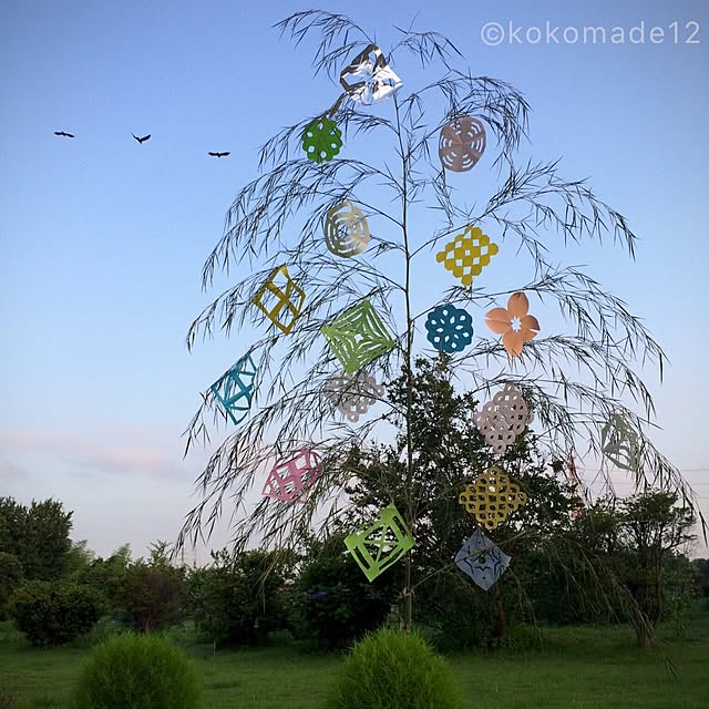 kokomadeさんの実例写真