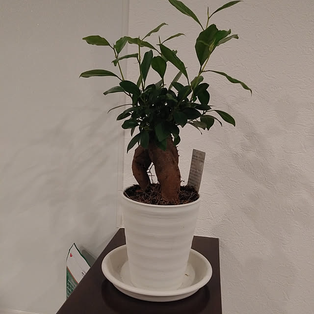 mamaさんの実例写真