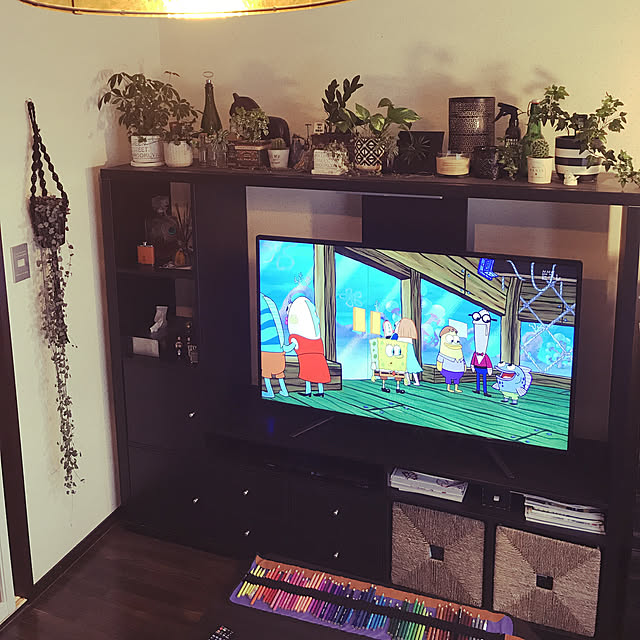観葉植物/リビングのインテリア実例 - 2019-02-28 09:12:26