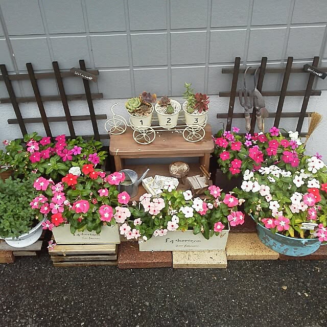MIKIさんの実例写真