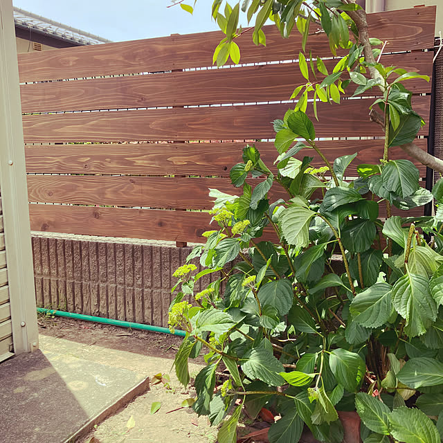 funataroさんの部屋