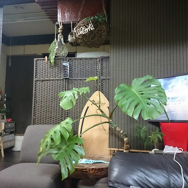 honuさんの実例写真