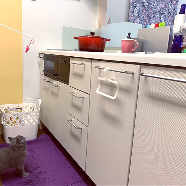 kittyさんの実例写真