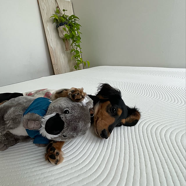 Erinさんの実例写真
