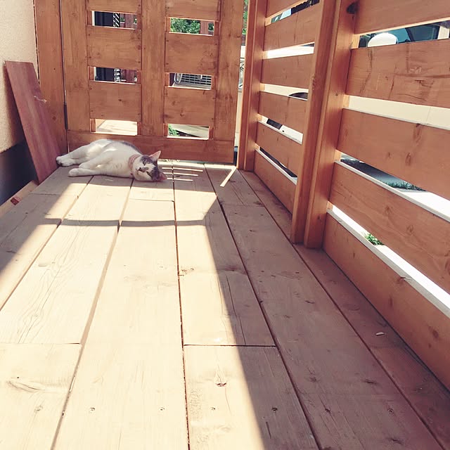 mintcatさんの実例写真