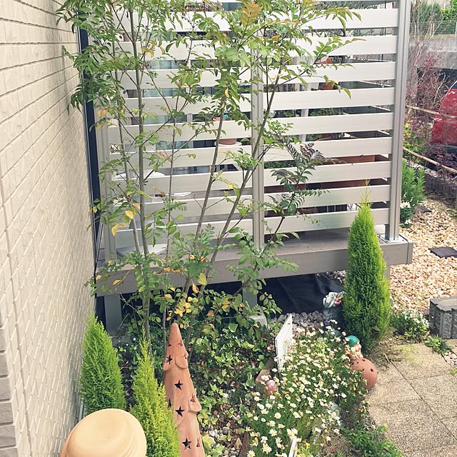 yokkochanさんの実例写真