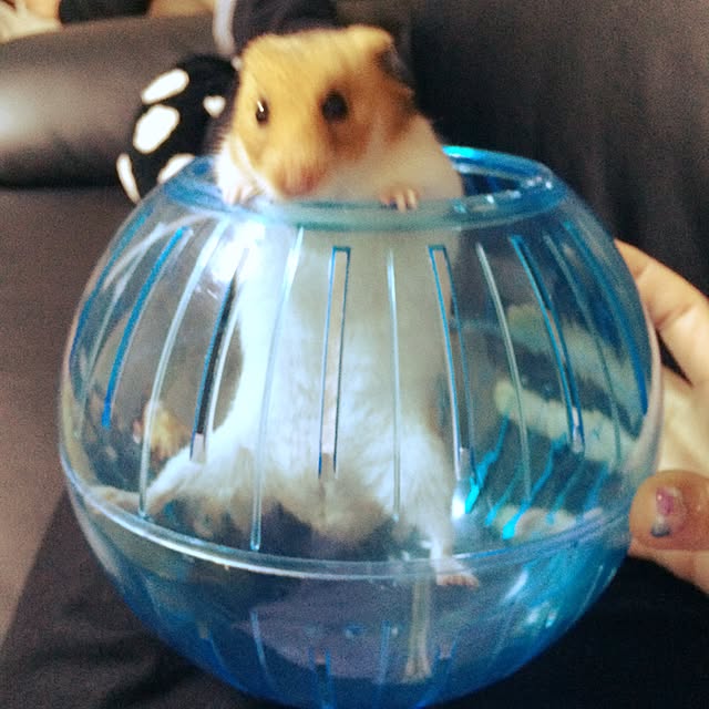 aikoさんの実例写真