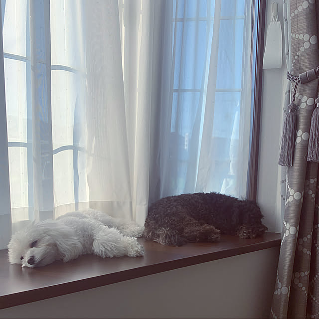 NishiFamilyさんの実例写真