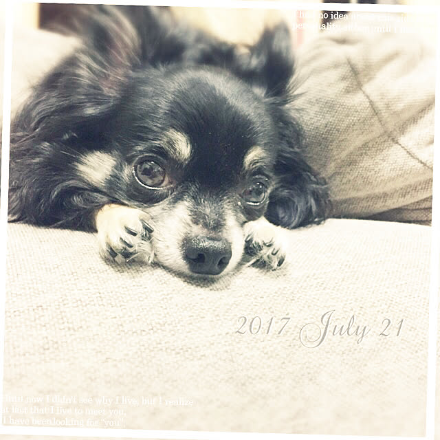 mockさんの実例写真