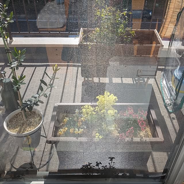 mi-saさんの部屋