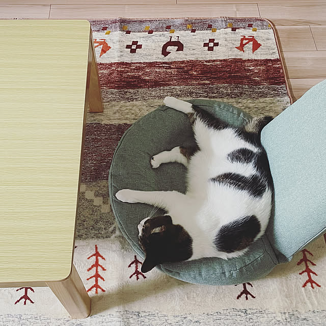 hemukoさんの部屋