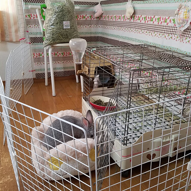 kuri34さんの実例写真