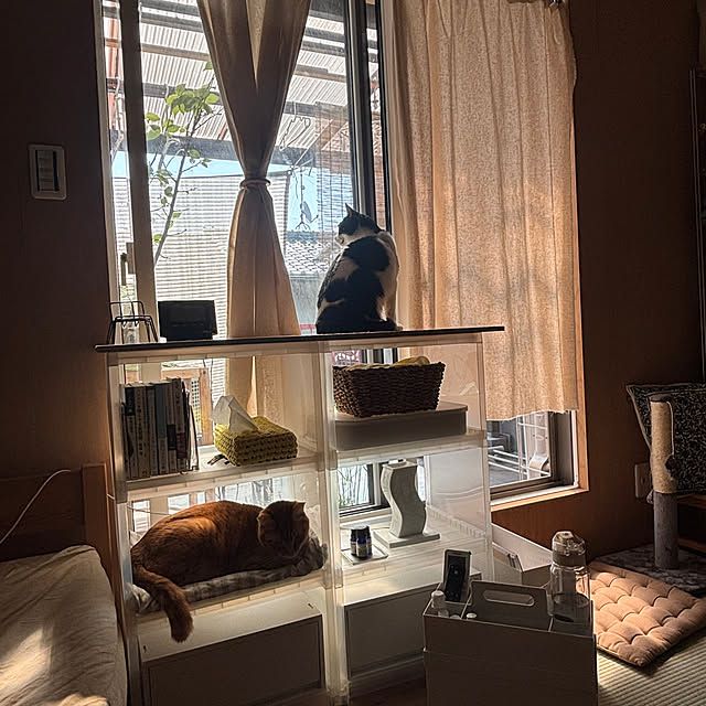 buntamaさんの部屋