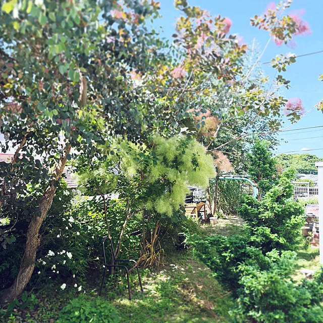 oa.mさんの実例写真