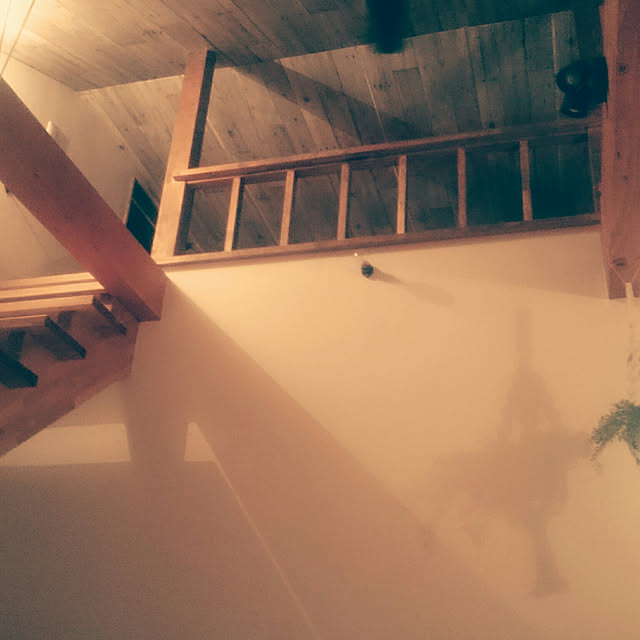 nanamushiさんの実例写真