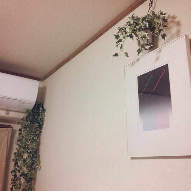 Yasumiさんの実例写真