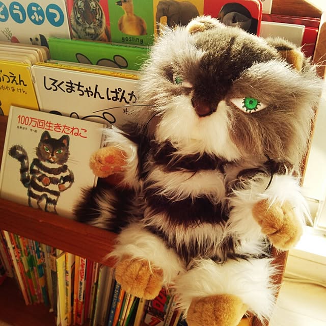 unikkoさんの実例写真