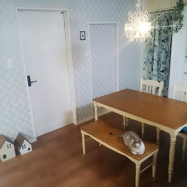 hoshiさんの実例写真