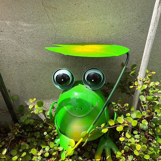 eriharuさんの部屋