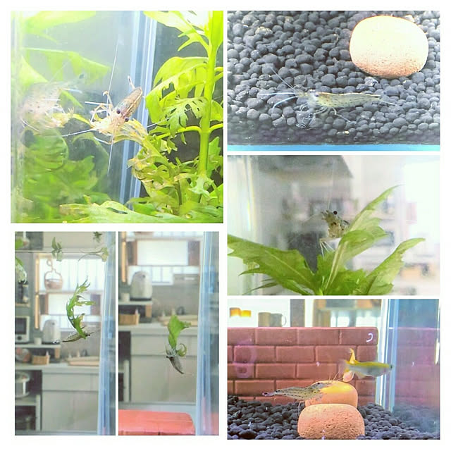 littlemomさんの実例写真