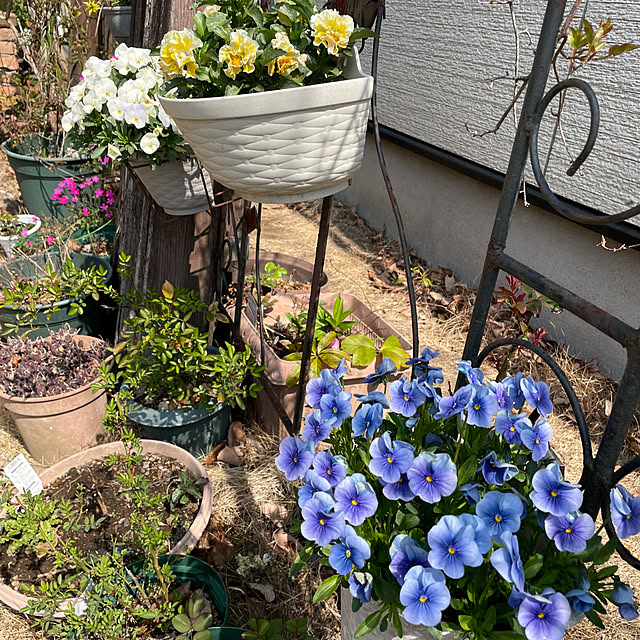 natsumiさんの部屋