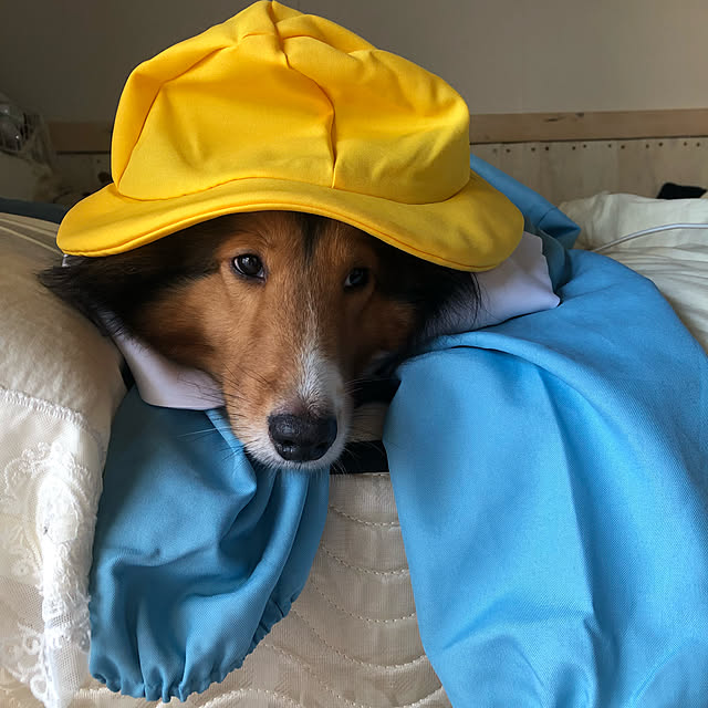 miiさんの実例写真