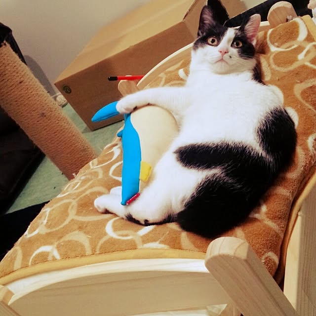 botanさんの実例写真