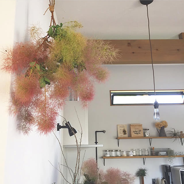 壁/天井/グリーンのある暮らし/ドライフラワー/観葉植物/100均...などのインテリア実例 - 2018-12-15 14:54:45