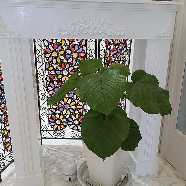 machikomamaさんの部屋