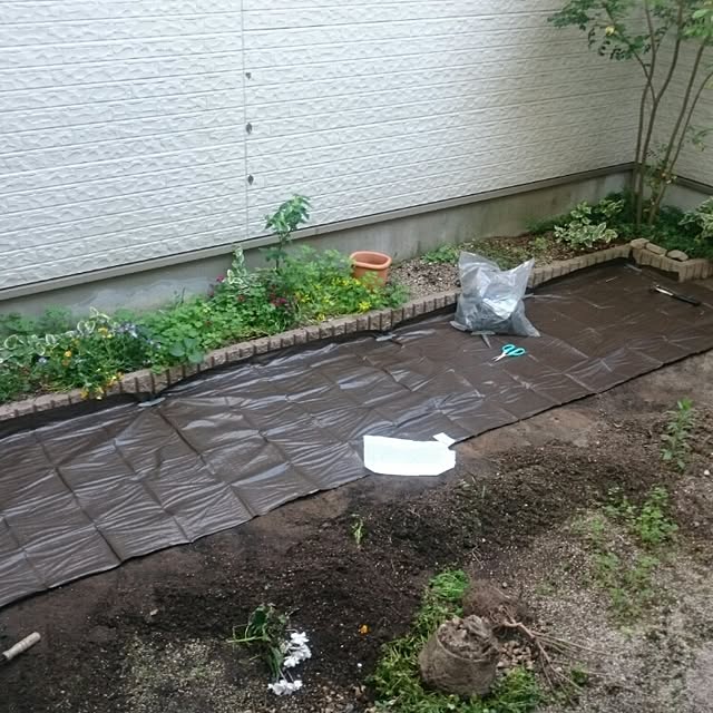 soyokoさんの実例写真