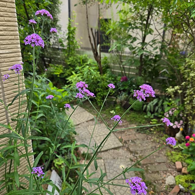 min_nimさんの実例写真